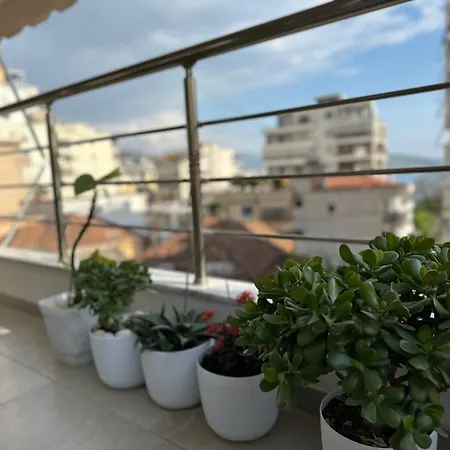 Sea-shell Apartament